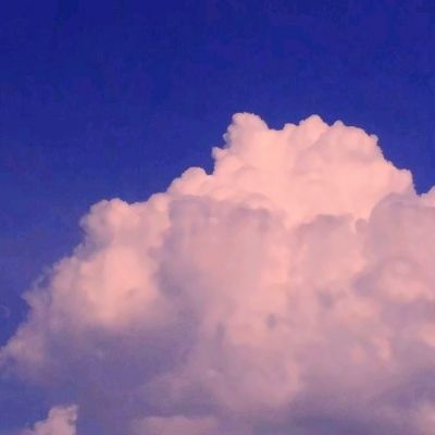 火王手游网易版下载