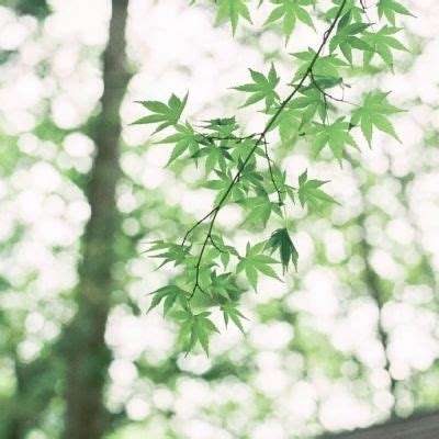 六界逍遥手游